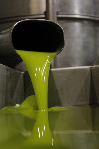 Aceite Verde Premium de cosecha temprana